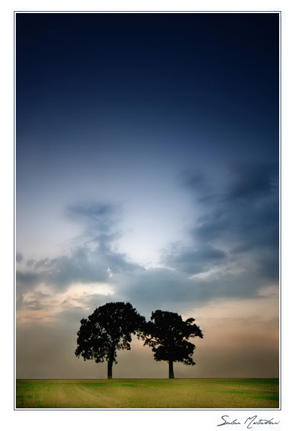 DP Blog